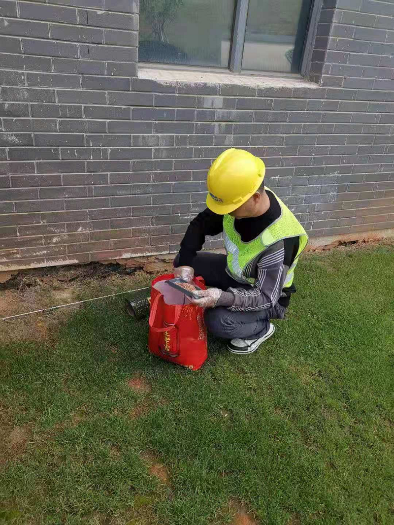 学工处开展春季消杀灭鼠工作