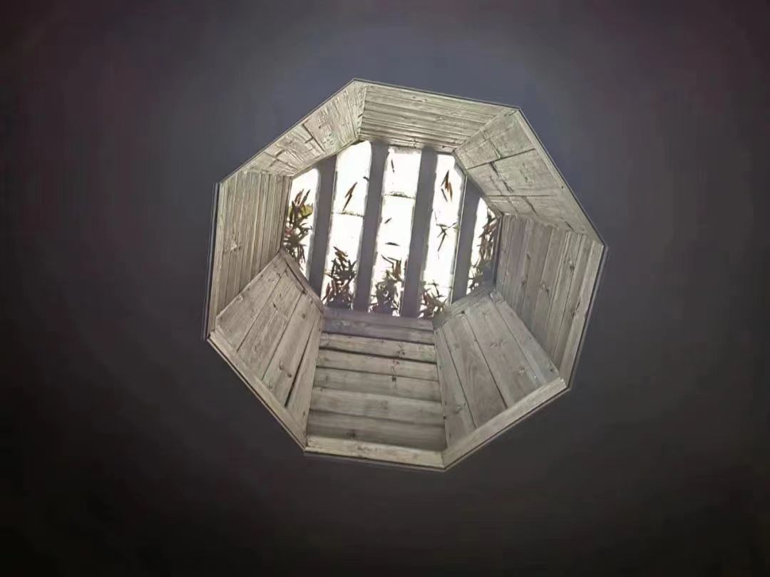 1701616099687475.jpg